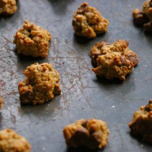 Mini vegan oatmeal chocolate chip cookies cereal recipe recipes