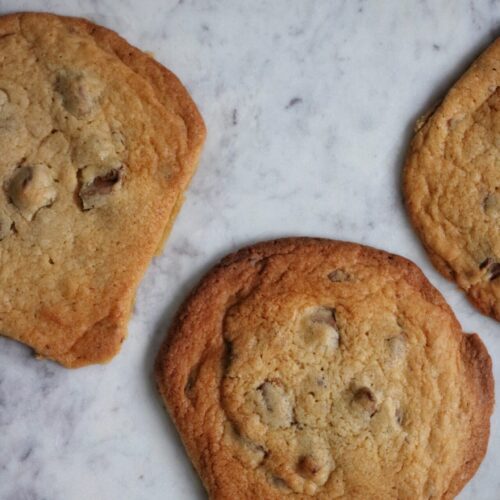 Best homemade chocolate chip cookies dessert double chocoalte brown baking cookie