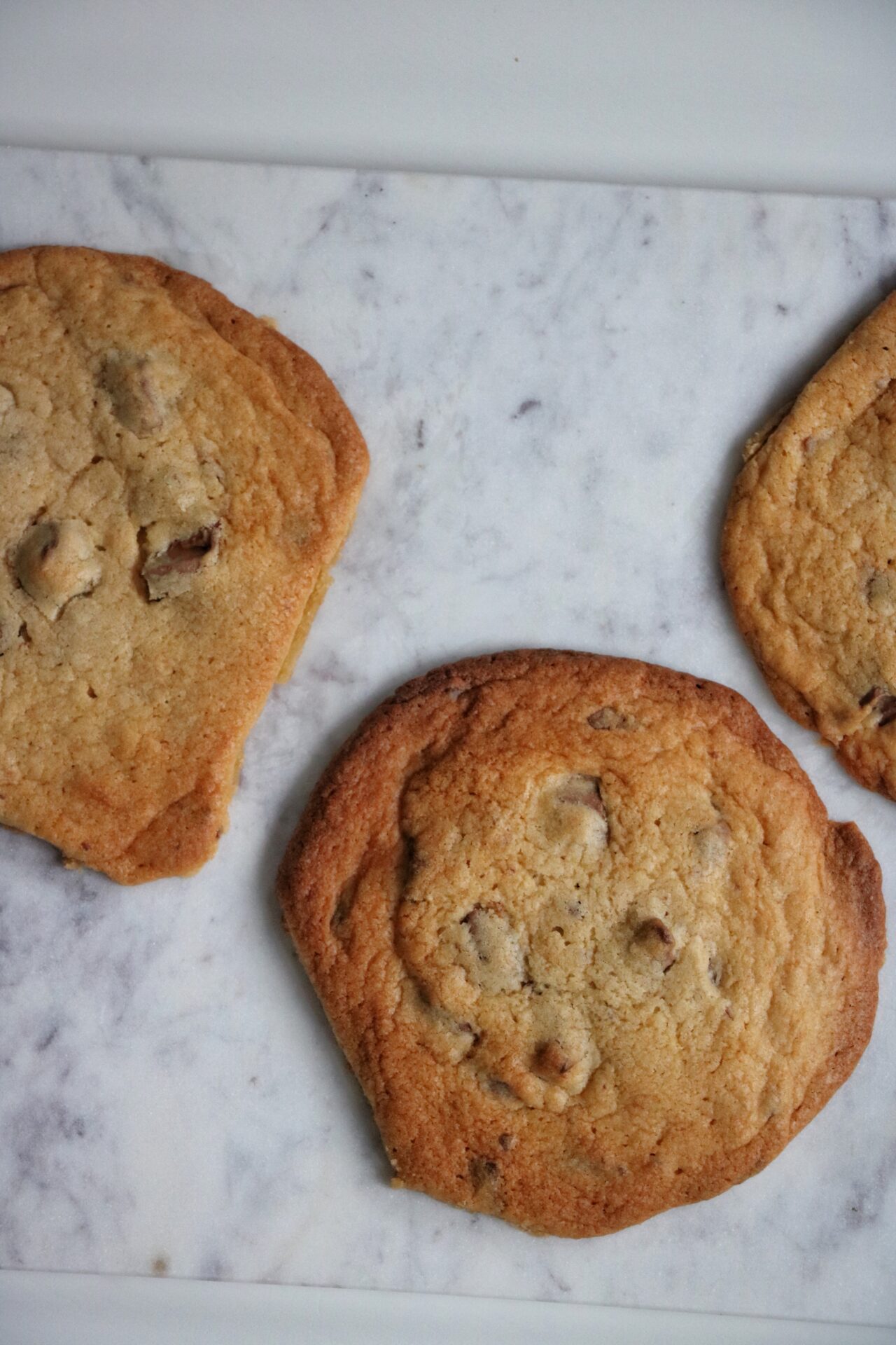 Best homemade chocolate chip cookies dessert double chocoalte brown baking cookie